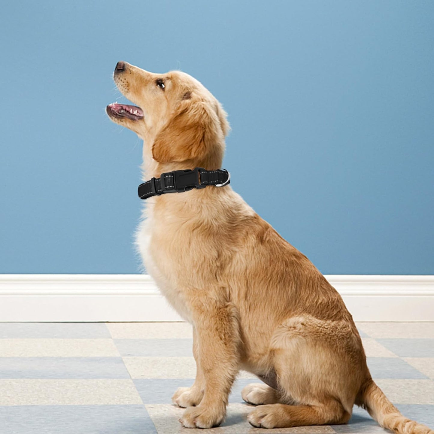 Reflective Dog Collar, Adjustable Soft Neoprene Padded Nylon Pet Collars with Buckle，  Khaki