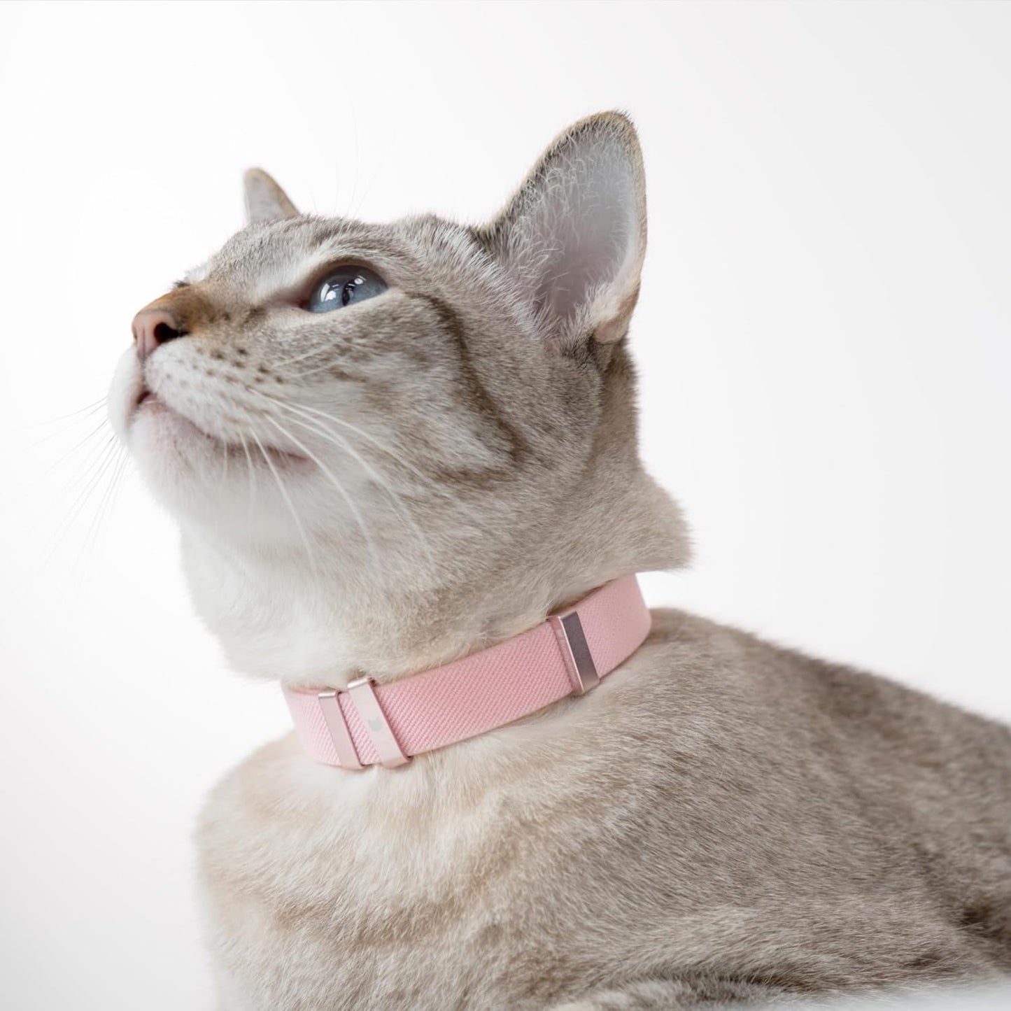 Safety Cat/Puppy Collar - Stretch Elastic Quick Release, Non Breakaway - Light Weight for Kitten_(Alpine Green)